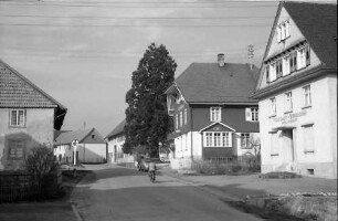 Birkendorf: Ortsstraße mt Eibe