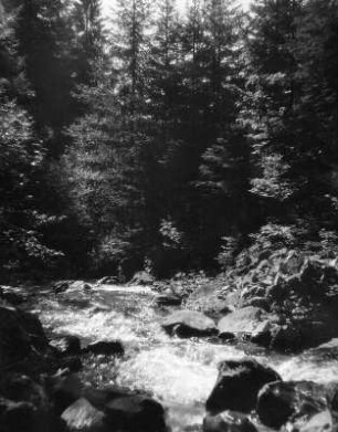 Gebirgsbach (vielleicht in den Allgäuer Alpen)
