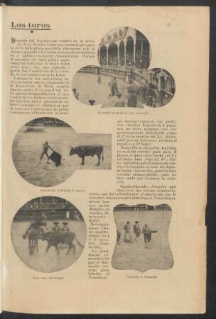 Los toros