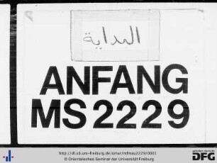 MF Mau 2229