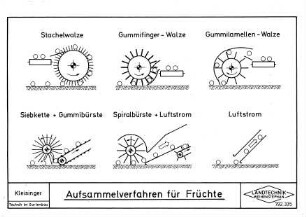 Aufsammelverfahren für Früchte
