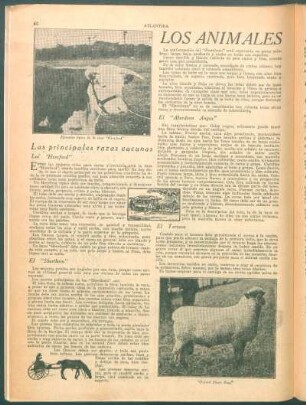 Los animales domesticos