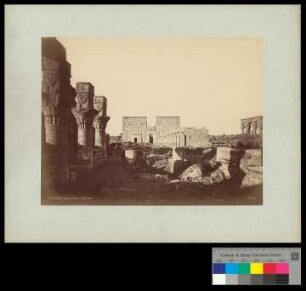 Ile de Phylae. Colonnes du Temple de Nectanebo.