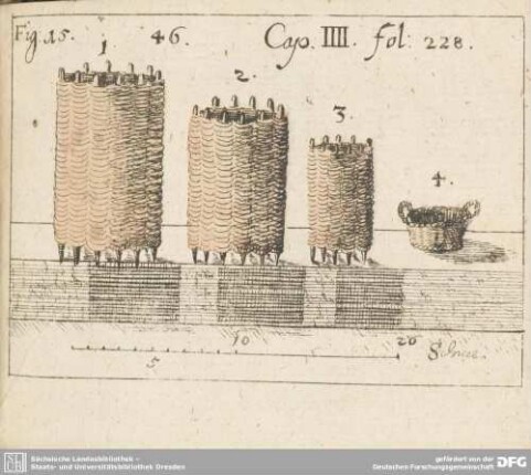 Fig: 15. 46. Cap. IIII. fol: 228.