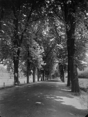 Dresden-Graupa. Straße nach Pillnitz, im Hintergrund die "Weinbergkirche"
