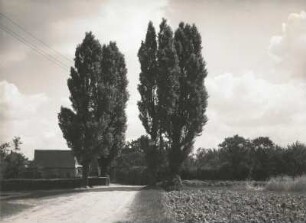 Hayna. Dorfeingang von Radefeld her