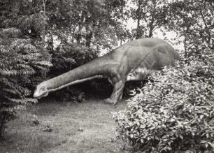 Hamburg, Tierpark Hagenbeck. Urweltlandschaft, Nachbildung eines Diplodocus carnegiei (um 1909, J. Pallenberg)