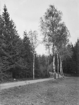 Landschaft : Unbekannter Ort. Wanderweg