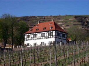Radebeul: Hoflößnitz