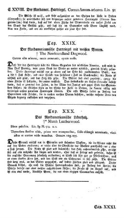 Cap. XXX. Das Nordamericanische Lederholz. Dirca palustris. Lin.