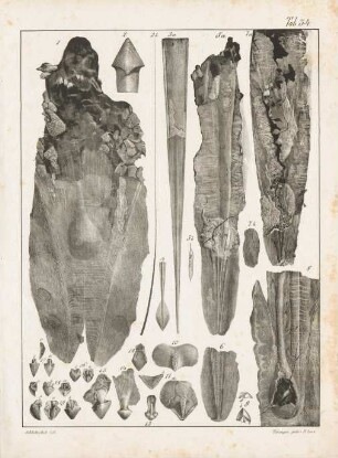 Tab. 34