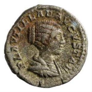 Münze, Denar, 202 - 205 n. Chr.