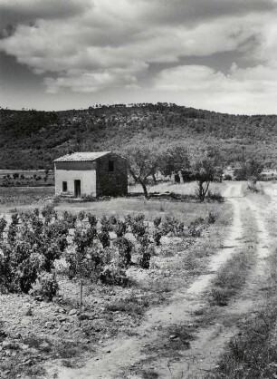Landschaft in der Provence