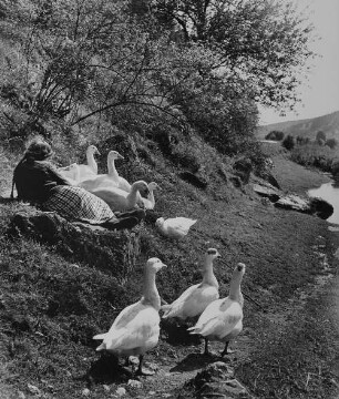 Archivfotografie "menschen_kinder_774"