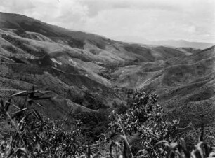 Graslandschaft auf Sumatra : Blick über eine zerfurchte Graslandschaft auf Sumatra.