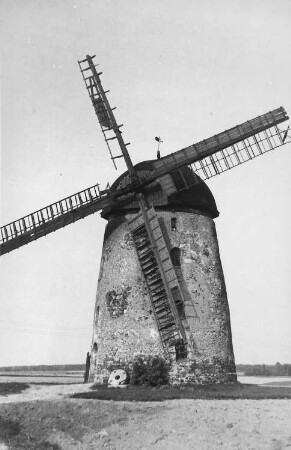 Falkenhain-Voigtshain. Turmholländer