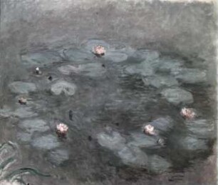 Sieben rotviolette Seerosen