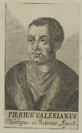 Bildnis des Pierius Valerianus