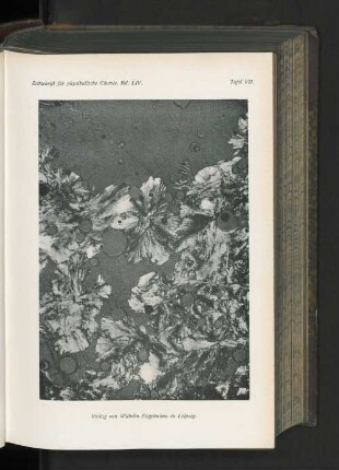Tafel VII