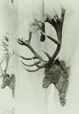 Geweihe: 32-Ender von rechts. Moritzburg/Dresden: Barockmuseum (ehem. Jagdschloß). Speisesaal III.