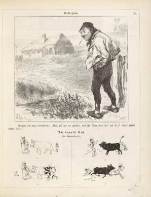 "Reflexion" "Die bemalte Kuh"