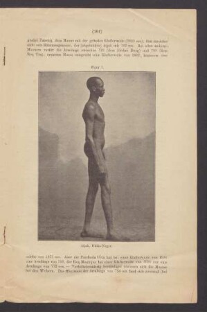 Figur 1: Atjak, Dinka-Neger.