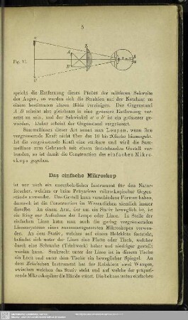 Das einfache Mikroskop