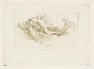 Arion