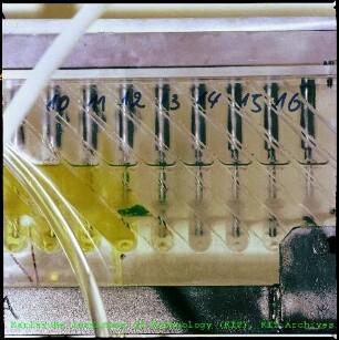 Mischabsetzer (Mixer-Settler) im Institut für Heiße Chemie (IHCh)