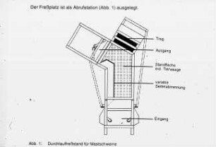 Durchlauffreßstand für Mastschweine