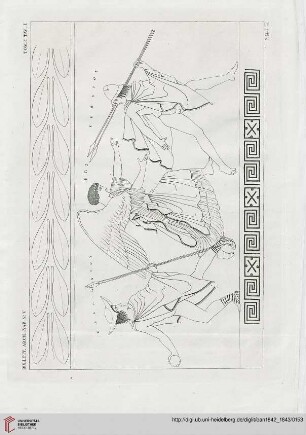 Tavola I - VIII