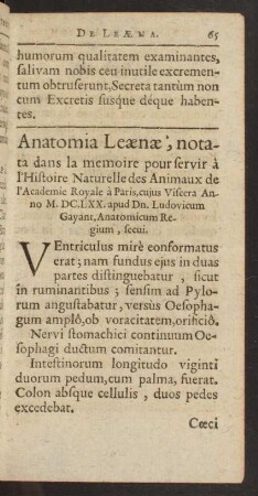 Anatomia Leaenae ...