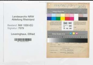 Entnazifizierung Elfried Leveringhaus, geb. 02.10.1910 (Lehrer)