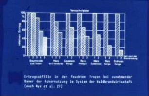 Ertragsabfälle in den feuchten Tropen bei zunehmender Dauer der Ackernutzung im System der Waldbrandwirtschaft (nach Nye et al. 27)