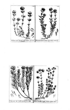 1088-1091