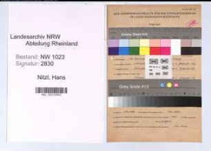 Entnazifizierung Hans Nitzl , geb. 10.01.1900 (Ingenieur)