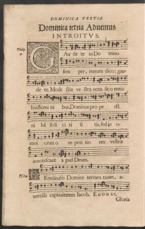 Dominica tertia Adventus