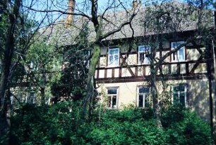 Blick durch Bäume auf das Pfarrhaus