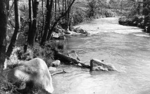 Triebischtal-Garsebach. Die Triebisch bei der Mühle