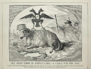 The split crow in difficulties. - A fable for the day