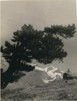 Impression von den Walliser Alpen
