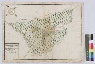 Walddistrikte Schlagweiler und Ziegelschlag