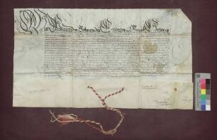 Erzherzog Ferdinand von Österreich bestätigt die Privilegien der Kartause bei Freiburg.