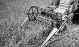 Claas Huckepack im Einsatz in Wildschwaige