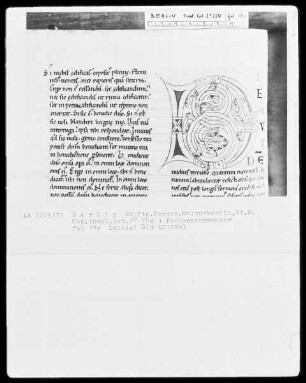 Augustinus, Kommentar zu den Psalmen 101-150 — Initiale D (e quidem), Folio 17 verso