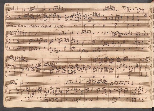 Nun komm der Heiden Heiland. Auszüge (Vers 3); org; a-Moll