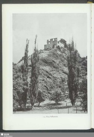 Burg Falkenstein