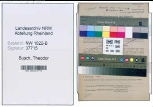 Entnazifizierung Theodor Busch , geb. 01.02.1898 (Inspektor)