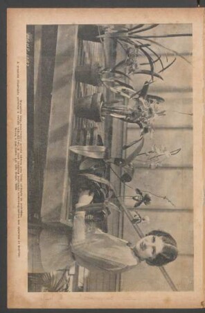 Marceline Day, encantadora artista admira uma linda coleção de orquídeas. - [Ilustração]