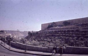 Zinne d. Tempels etwa v. Gethsemane [Jerusalem]